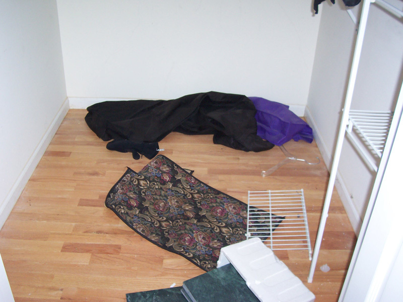 Destroyed Gage Lane Mansion (Before Demo Pics), Lake Forest, IL